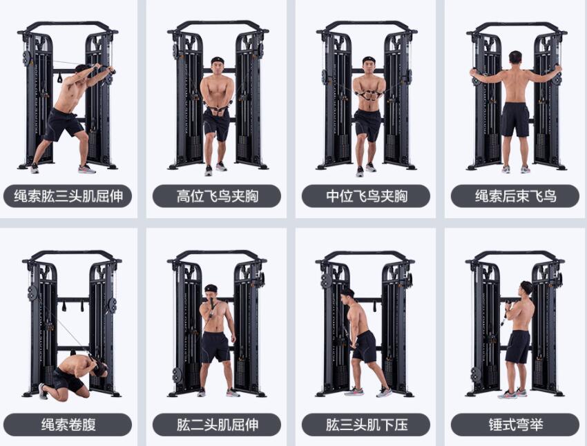 小飛鳥(niǎo)健身器材